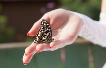 woman with a butterfly