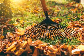 Your Fall Garden Cleanup Checklist to Prep for Next Spring