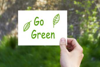 59 Go Green Slogans