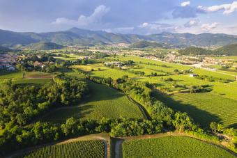 10 Things to Know About Italy's Fizzy Franciacorta Wine