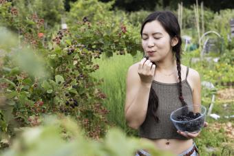 https://cf.ltkcdn.net/garden/images/slide/338014-850x567-woman-eating-berries-1430646797.jpg