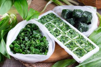 Easy Methods to Freeze Fresh Herbs That Preserve Flavor & Aroma