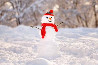 40 Snowman Quotes & Captions That Are Too Cool Not to Share