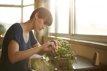 13 Gifts the Plant Lover in Your Life Will Treasure Forever