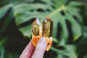 https://cf.ltkcdn.net/www/images/slide/358434-850x567-Holding-crystals-in-forest-with-monstera-plants-2117111696.jpg